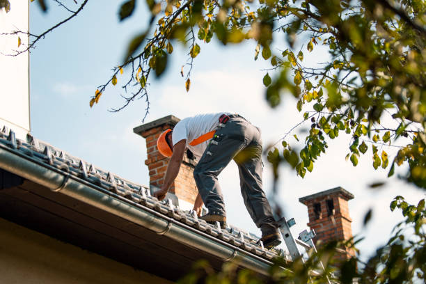 Best Local Roofing Companies  in Raymond, WI